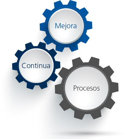 Organizar mediante sistemas estandarizados todos los procesos de la empresa